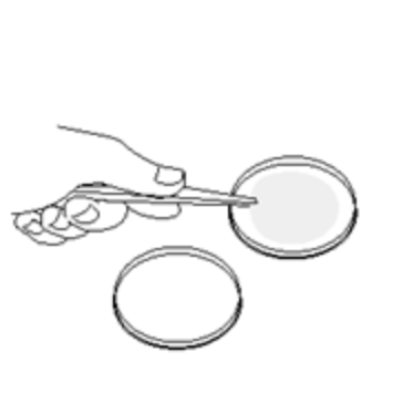 CN100 - LotusTech BacteFil Filter Cups